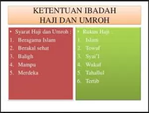 Rukun Umroh Ada Berapa? Ini Penjelasan Lengkap Sesuai Sunnah